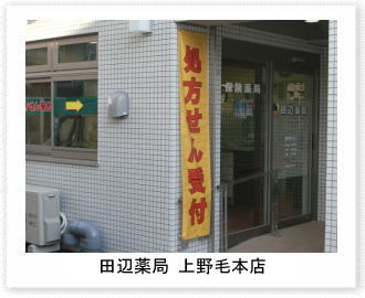 田辺薬局 上野毛本店のイメージ